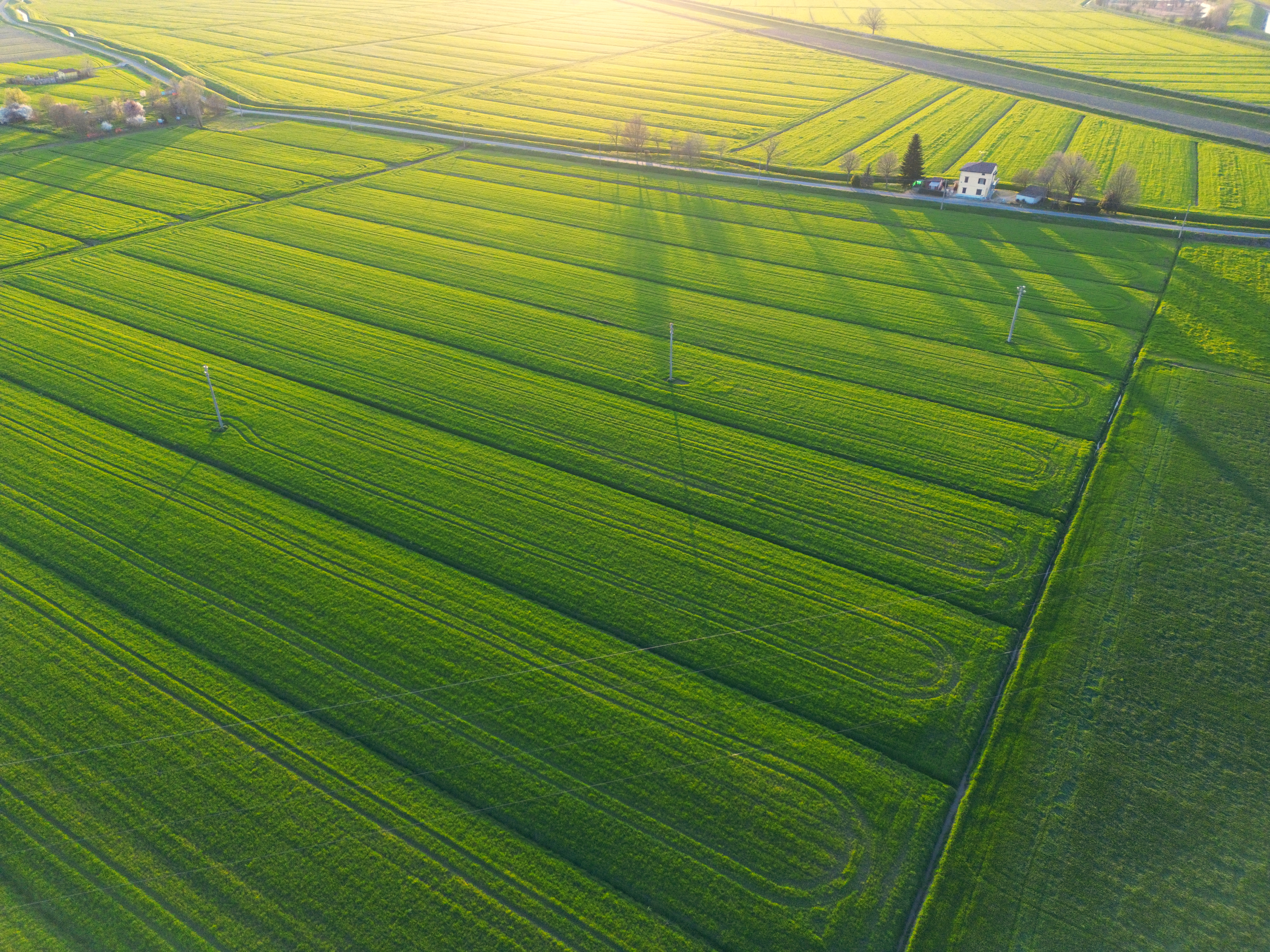 Artifly — territorio Mirandola